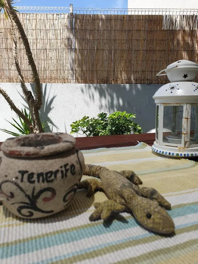 Apartamento Pardela Costa Adeje  Costa Adeje (Tenerife)