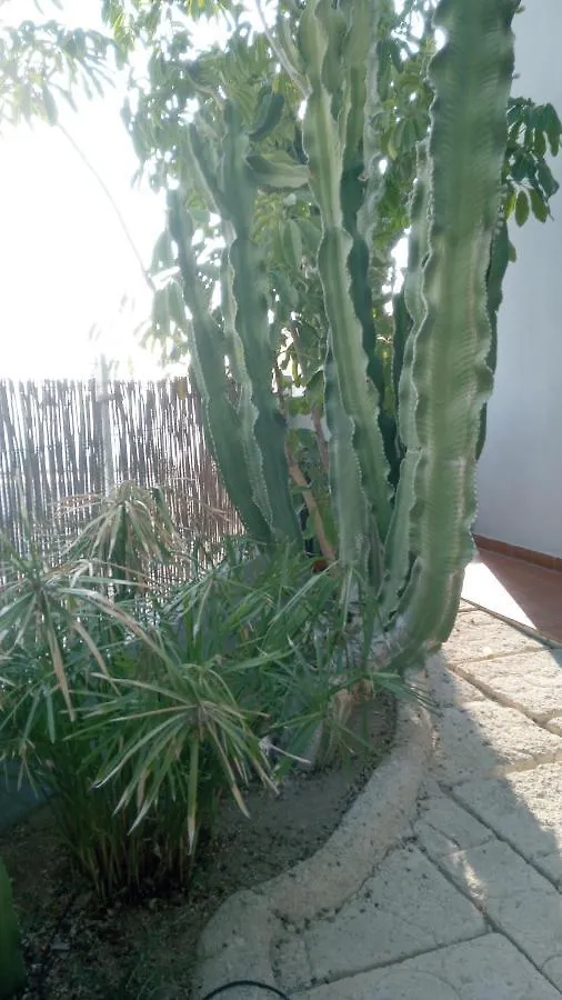 Apartamento Pardela Costa Adeje  Appartamento